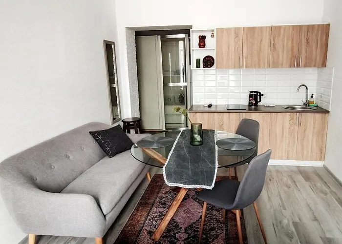 Flat In The Center Appartamento